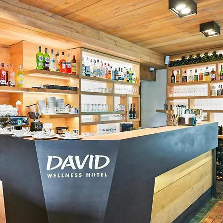 David Wellness Hotel-3